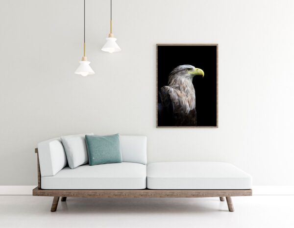 Quadro Gavião - Imagem 2